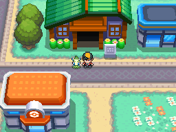 Pokémon Heart Gold & Soul Silver - Trainer House