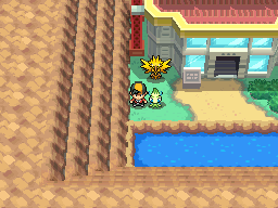 Pokémon Heart Gold & Soul Silver - Trainer House