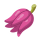 Kasib Berry