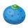Oran Berry