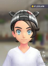 Ear Knit Beanie