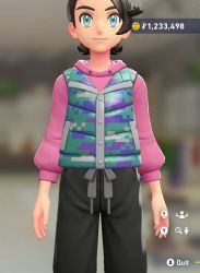 Puffer Vest & Hoodie Set