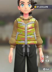 Puffer Vest & Hoodie Set