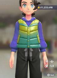 Puffer Vest & Hoodie Set