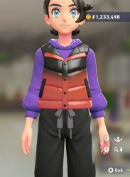 Puffer Vest & Hoodie Set