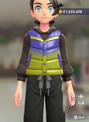 Puffer Vest & Hoodie Set