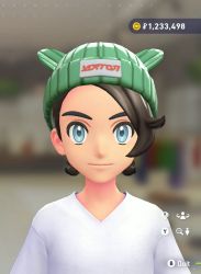 Poké Ear Knit Beanie
