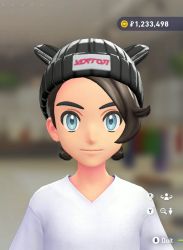 Poké Ear Knit Beanie
