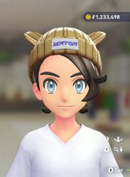 Poké Ear Knit Beanie