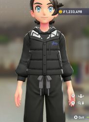 Puffer Vest & Hoodie Set