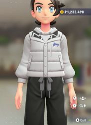 Puffer Vest & Hoodie Set