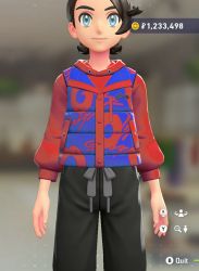 Puffer Vest & Hoodie Set