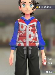 Puffer Vest & Hoodie Set