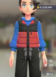 Puffer Vest & Hoodie Set