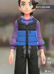 Puffer Vest & Hoodie Set