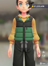 Puffer Vest & Hoodie Set