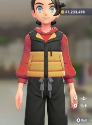 Puffer Vest & Hoodie Set