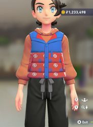 Puffer Vest & Hoodie Set
