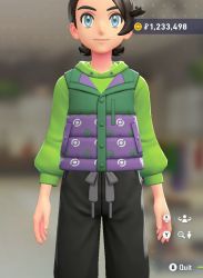 Puffer Vest & Hoodie Set