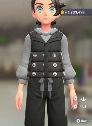 Puffer Vest & Hoodie Set