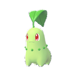 Chikorita