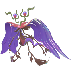 Dragalge