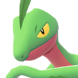 Grovyle