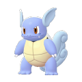 Wartortle Image