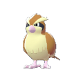 Pidgey Image