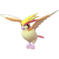 Pidgeot Image