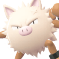 Primeape Image