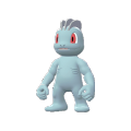 Machop Image