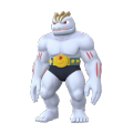 Machoke Image