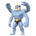 Machamp Image