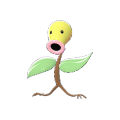 Bellsprout Image