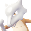 Marowak Image