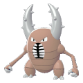 Pinsir Image