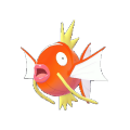 Magikarp Image