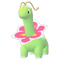 Meganium Image