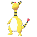 Ampharos Image