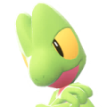 Treecko Image
