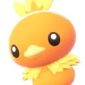 Torchic Image