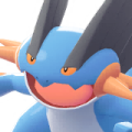 Swampert Image