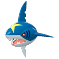 Sharpedo Image