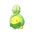 Budew Image