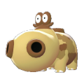 Hippopotas Image