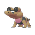 Sandile Image