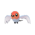 Fletchling Image