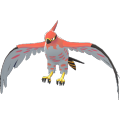 Talonflame Image