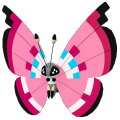 Vivillon Image